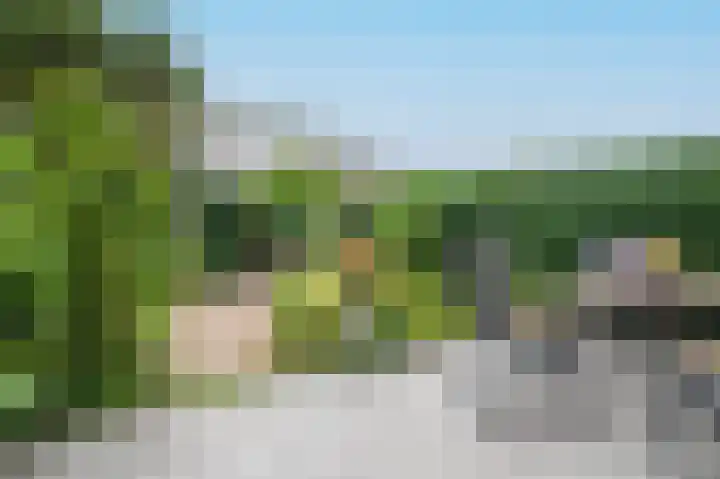 Leeuwerikspad 22 Ter Aar thumbnail 42