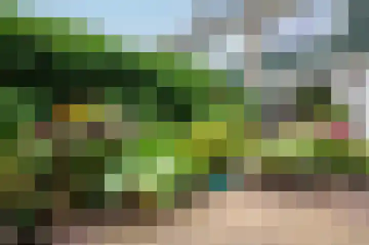 Leeuwerikspad 22 Ter Aar thumbnail 43