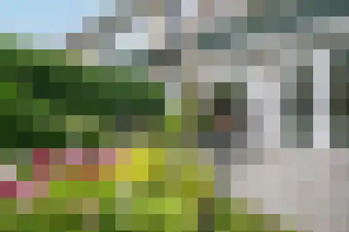 Leeuwerikspad 22 Ter Aar thumbnail 44