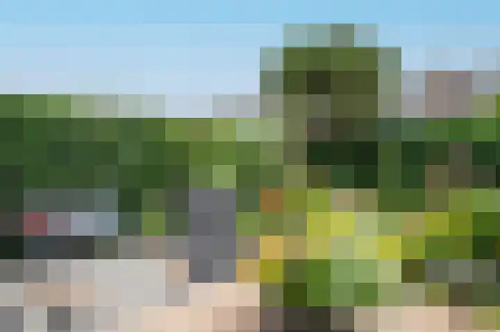 Leeuwerikspad 22 Ter Aar thumbnail 45