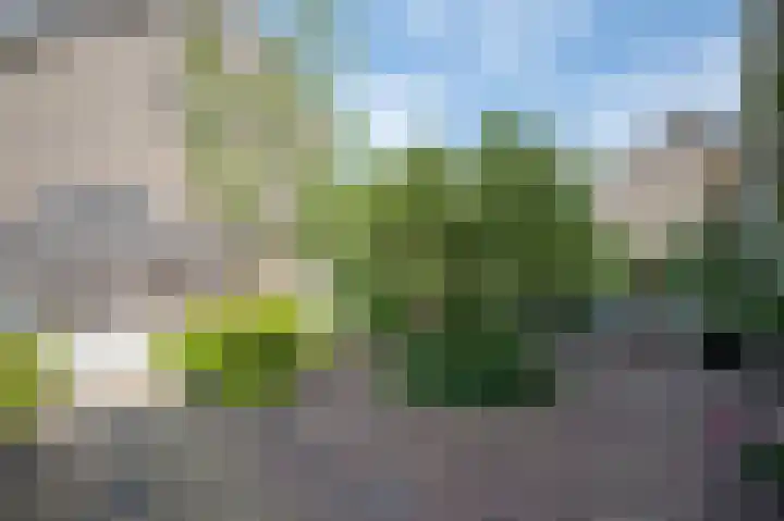 Leeuwerikspad 22 Ter Aar thumbnail 51