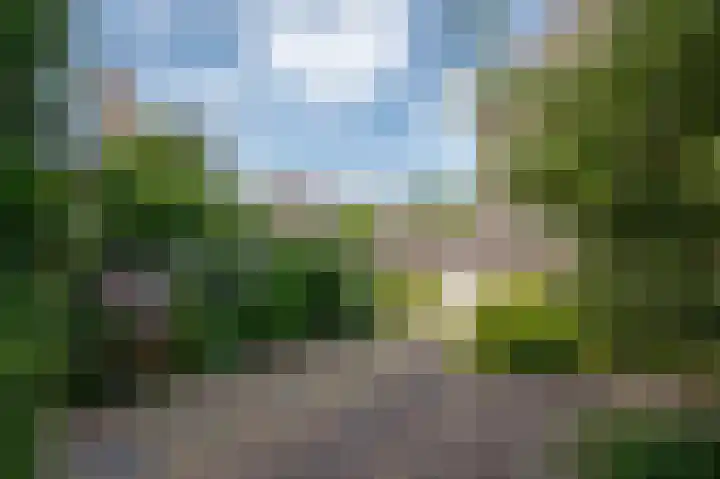 Leeuwerikspad 22 Ter Aar thumbnail 52