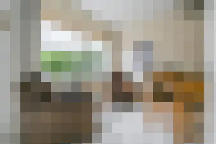 Leeuwerikspad 22 Ter Aar thumbnail 9