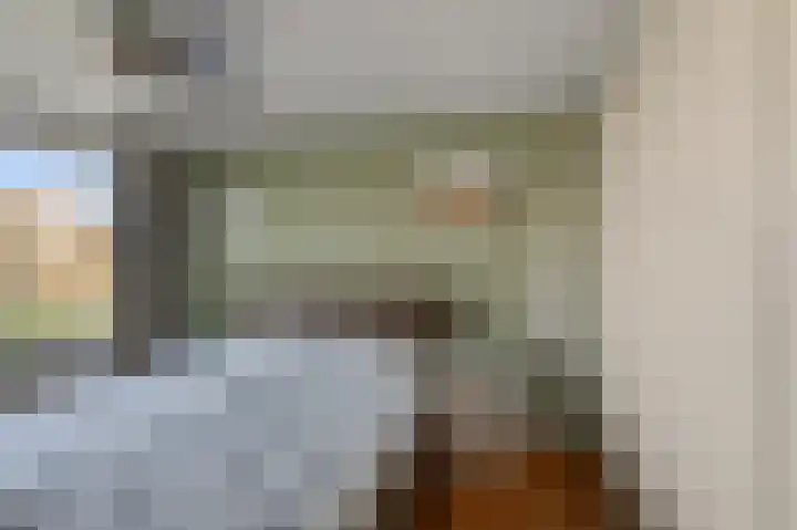 Leeuwerikspad 34 Ter Aar thumbnail 11
