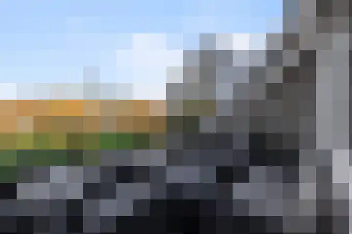 Leeuwerikspad 34 Ter Aar thumbnail 18