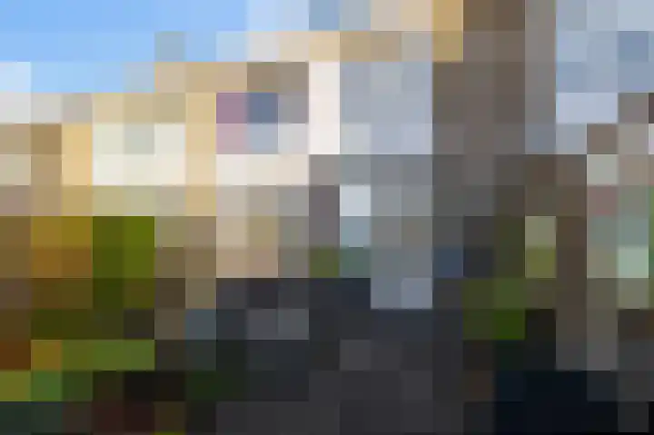 Leeuwerikspad 34 Ter Aar thumbnail 20