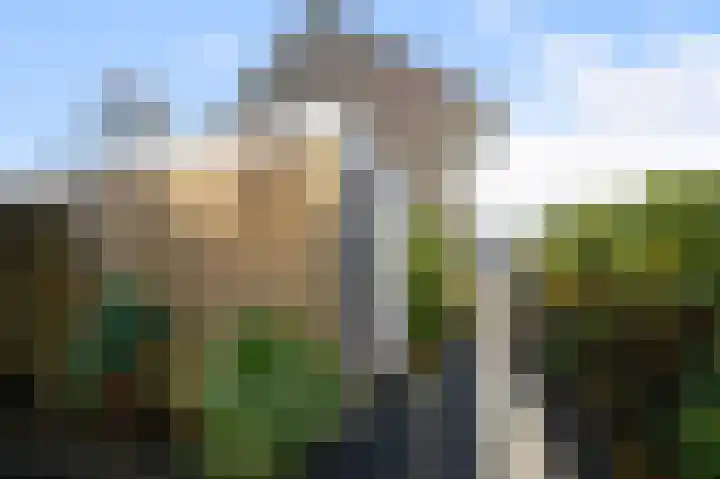 Leeuwerikspad 34 Ter Aar thumbnail 21