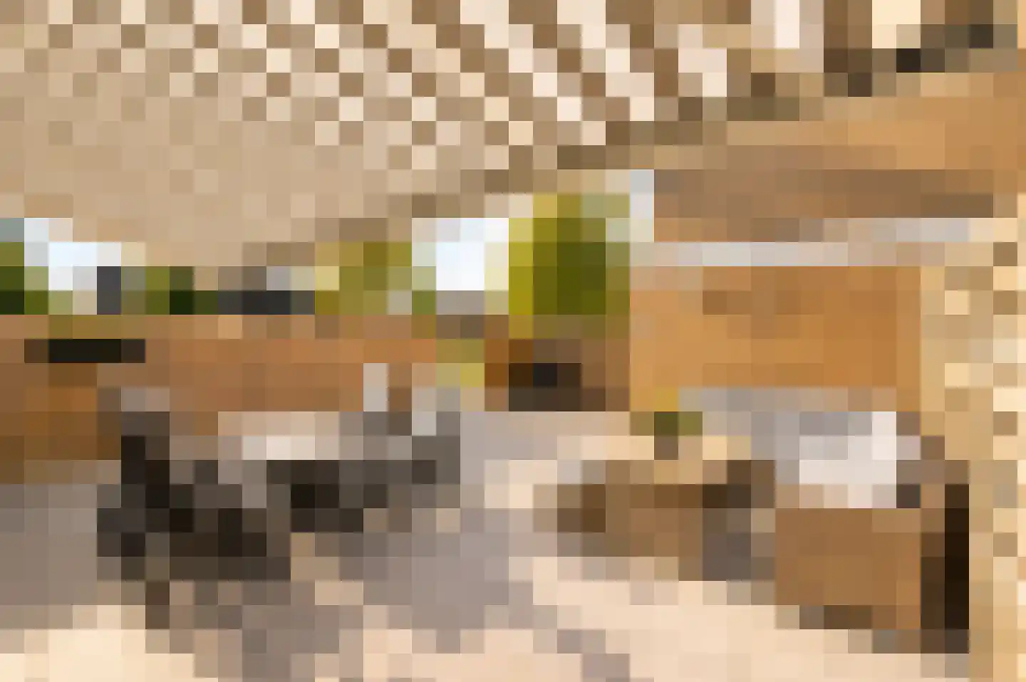 Leeuwerikspad 36 Ter Aar thumbnail 12