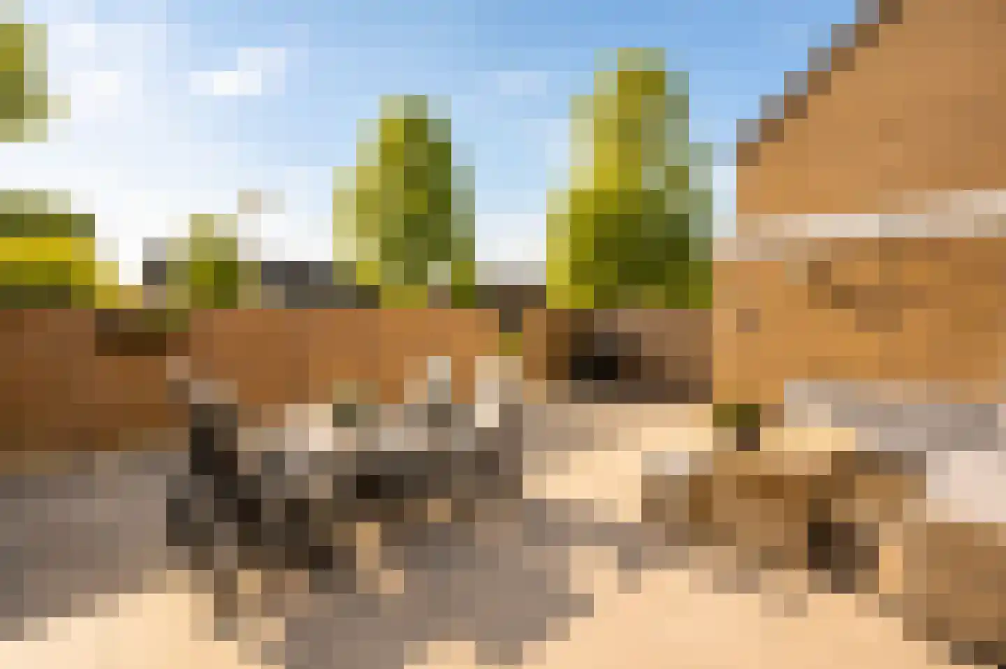 Leeuwerikspad 36 Ter Aar thumbnail 13