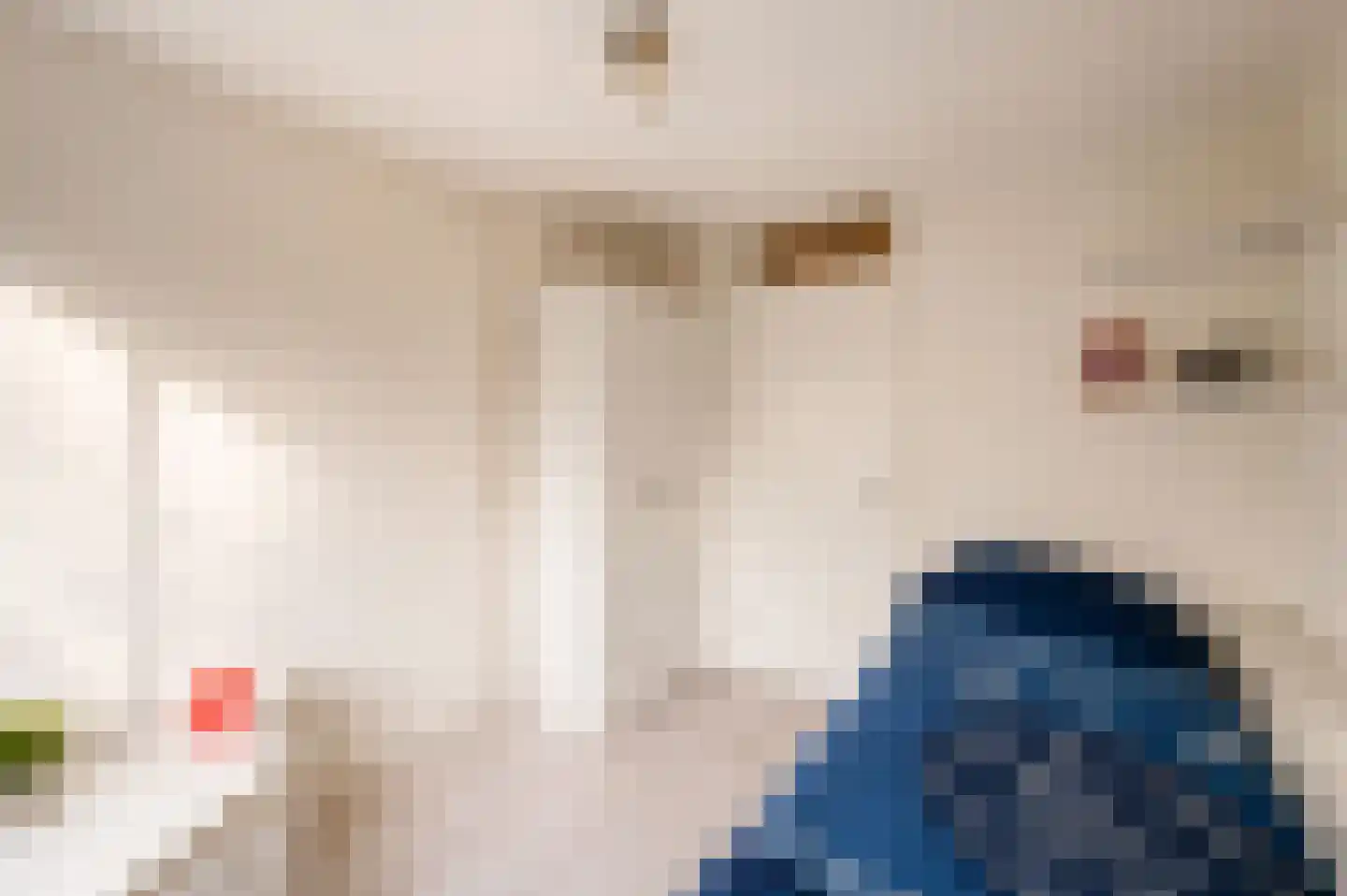 Leeuwerikspad 36 Ter Aar thumbnail 20