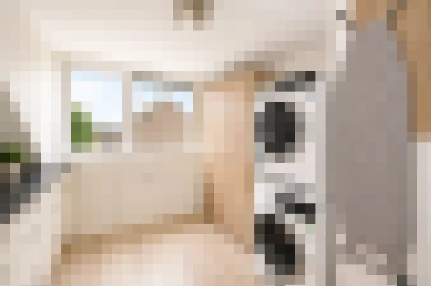 Leeuwerikspad 36 Ter Aar thumbnail 26