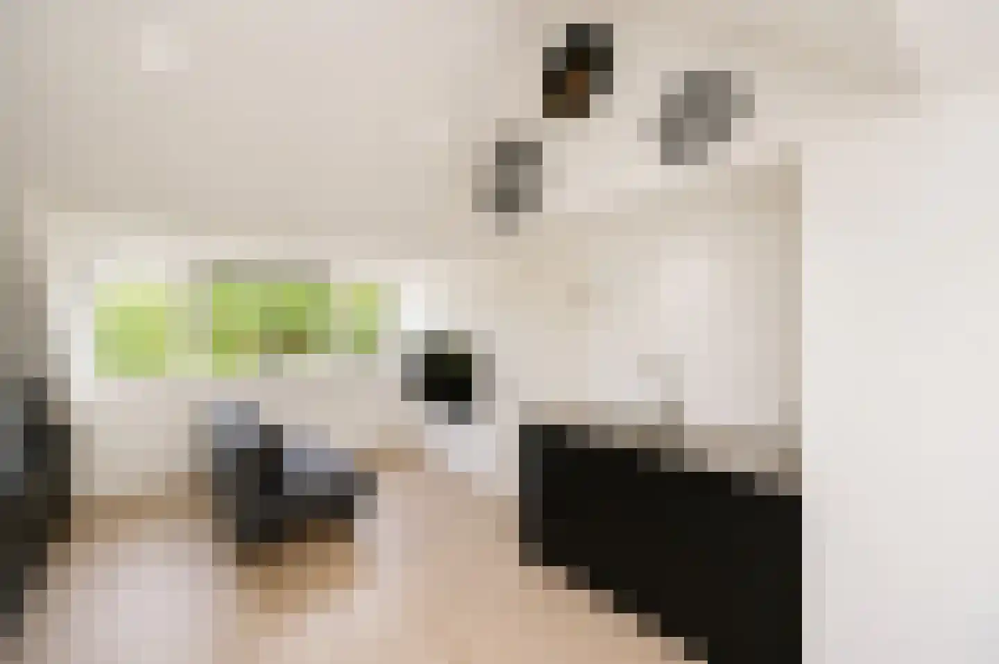Leeuwerikspad 36 Ter Aar thumbnail 28