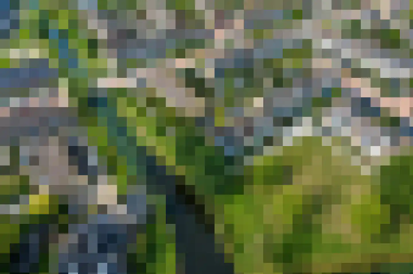 Leeuwerikspad 36 Ter Aar thumbnail 30