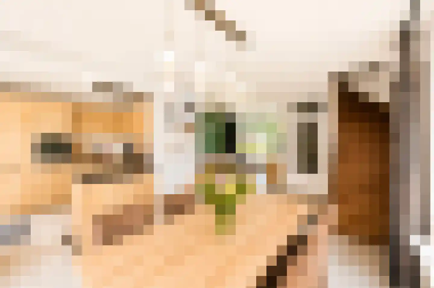 Leeuwerikspad 36 Ter Aar thumbnail 9