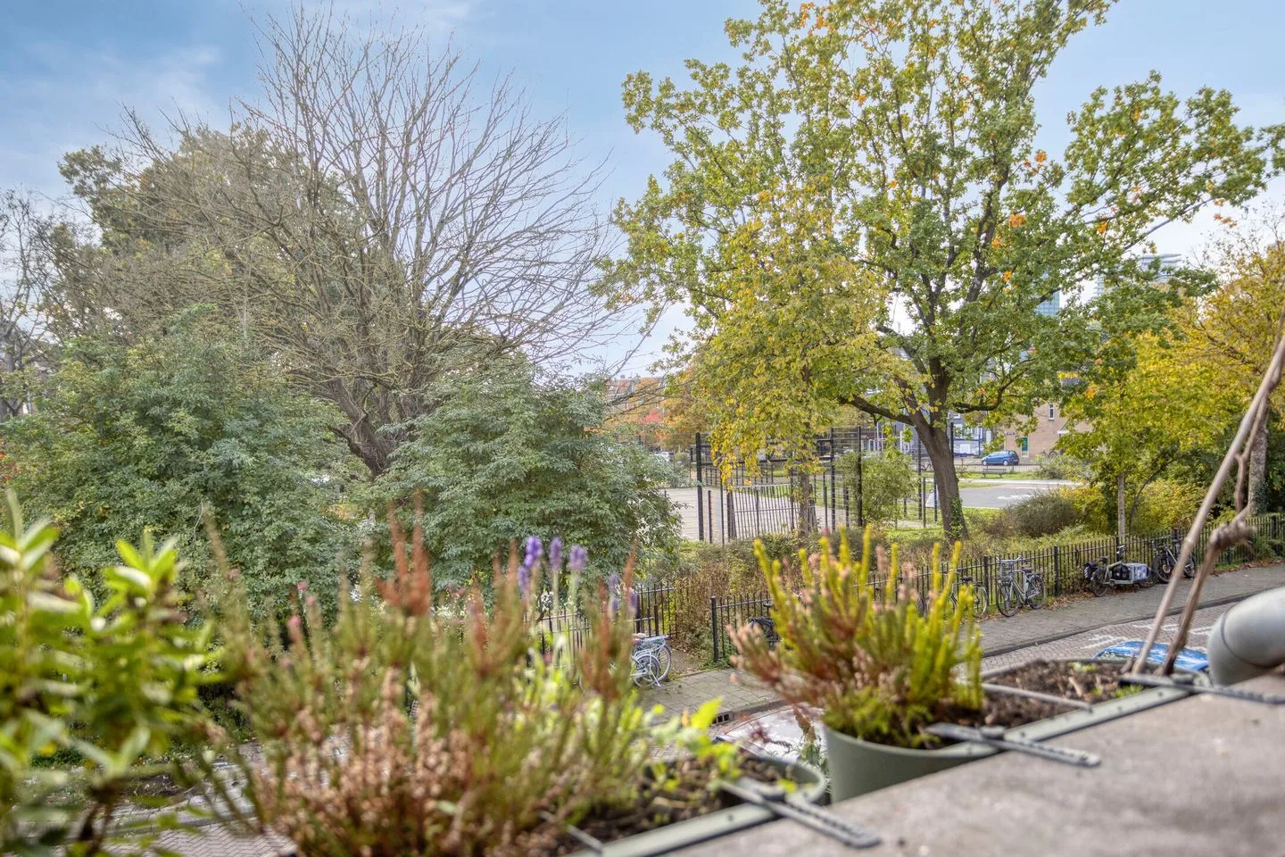 Leeuwerikstraat 1 B Amsterdam thumbnail 23
