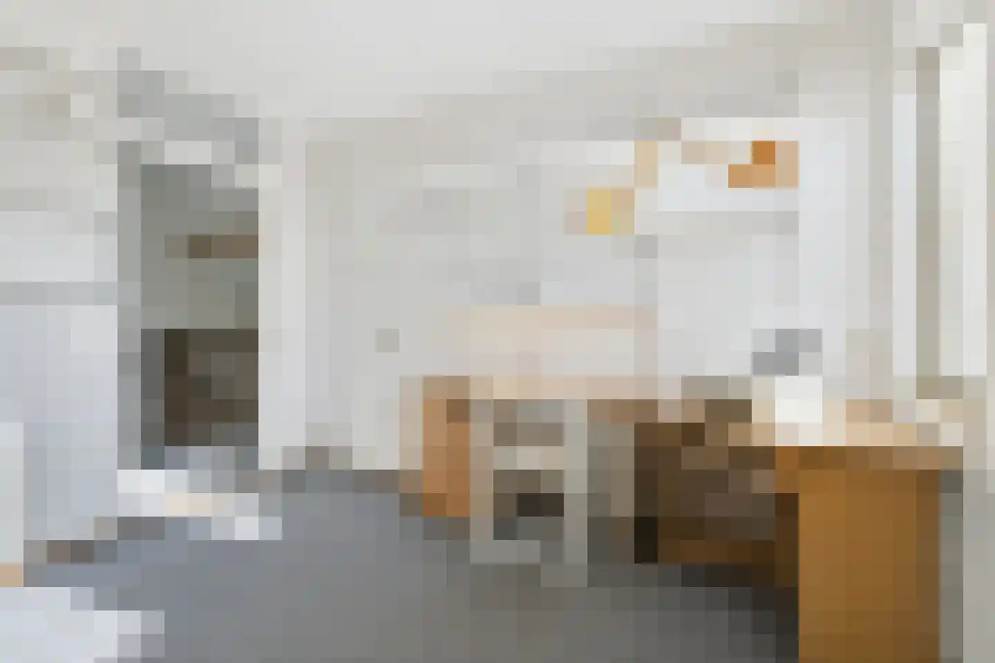 Leeuwerikstraat 1 Lichtenvoorde thumbnail 36
