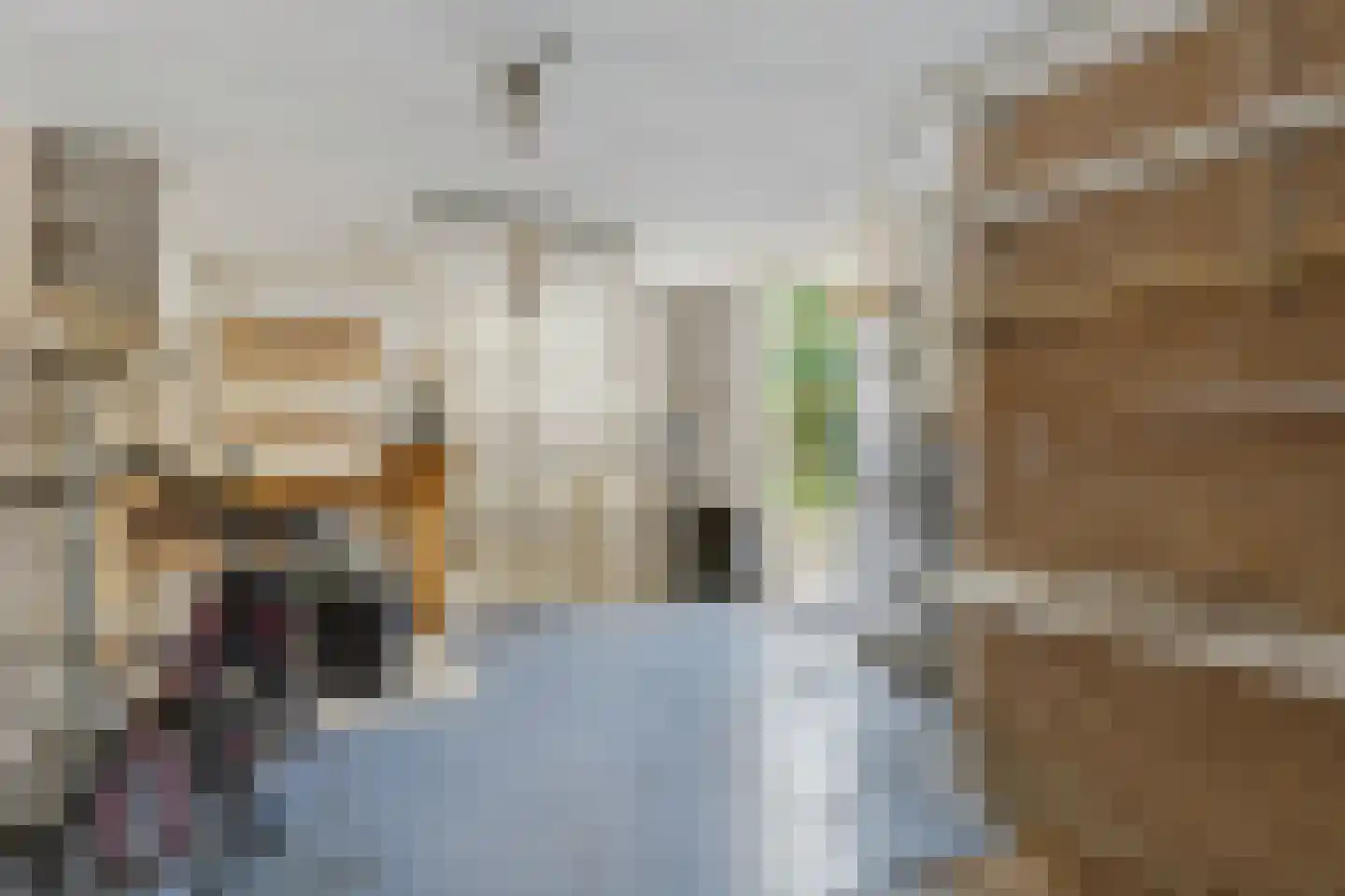 Leeuwerikstraat 1 Lichtenvoorde thumbnail 39