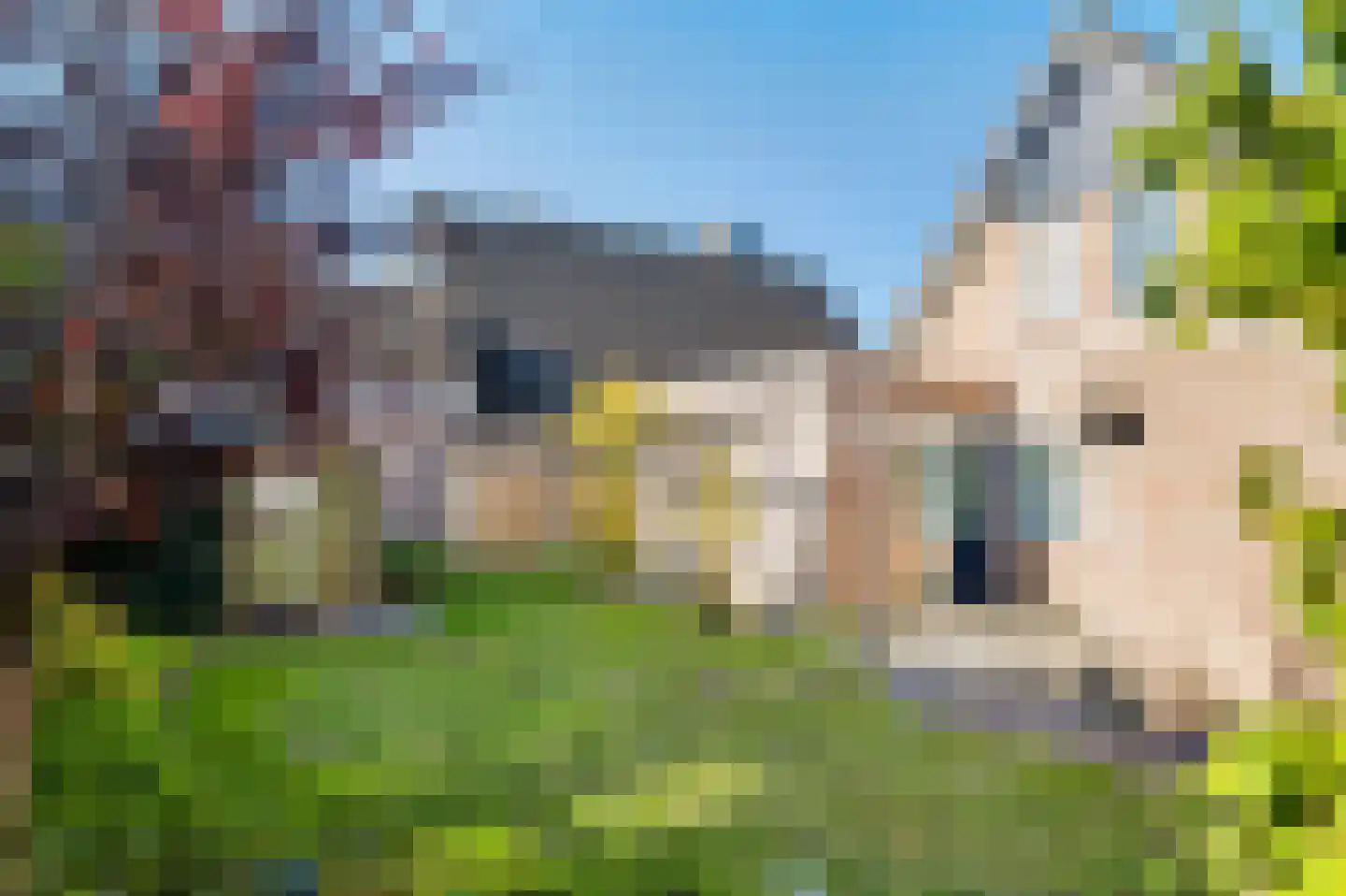 Leeuwerikstraat 1 Lichtenvoorde thumbnail 45