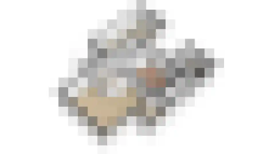 Leeuwerikstraat 1 Lichtenvoorde thumbnail 50