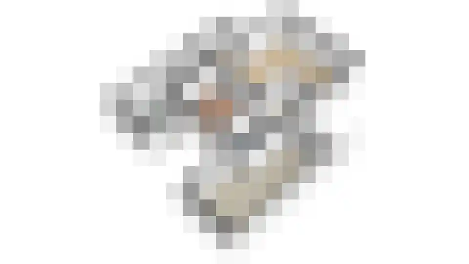 Leeuwerikstraat 1 Lichtenvoorde thumbnail 51