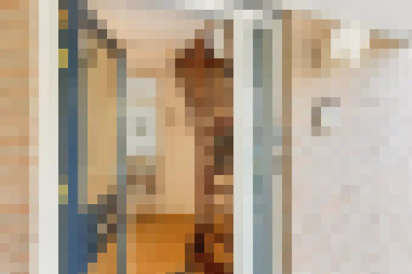 Leeuwerikstraat 1 Lichtenvoorde thumbnail 8