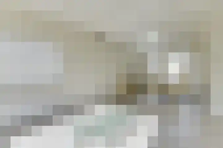 Leeuwerikstraat 1 Spanbroek thumbnail 12