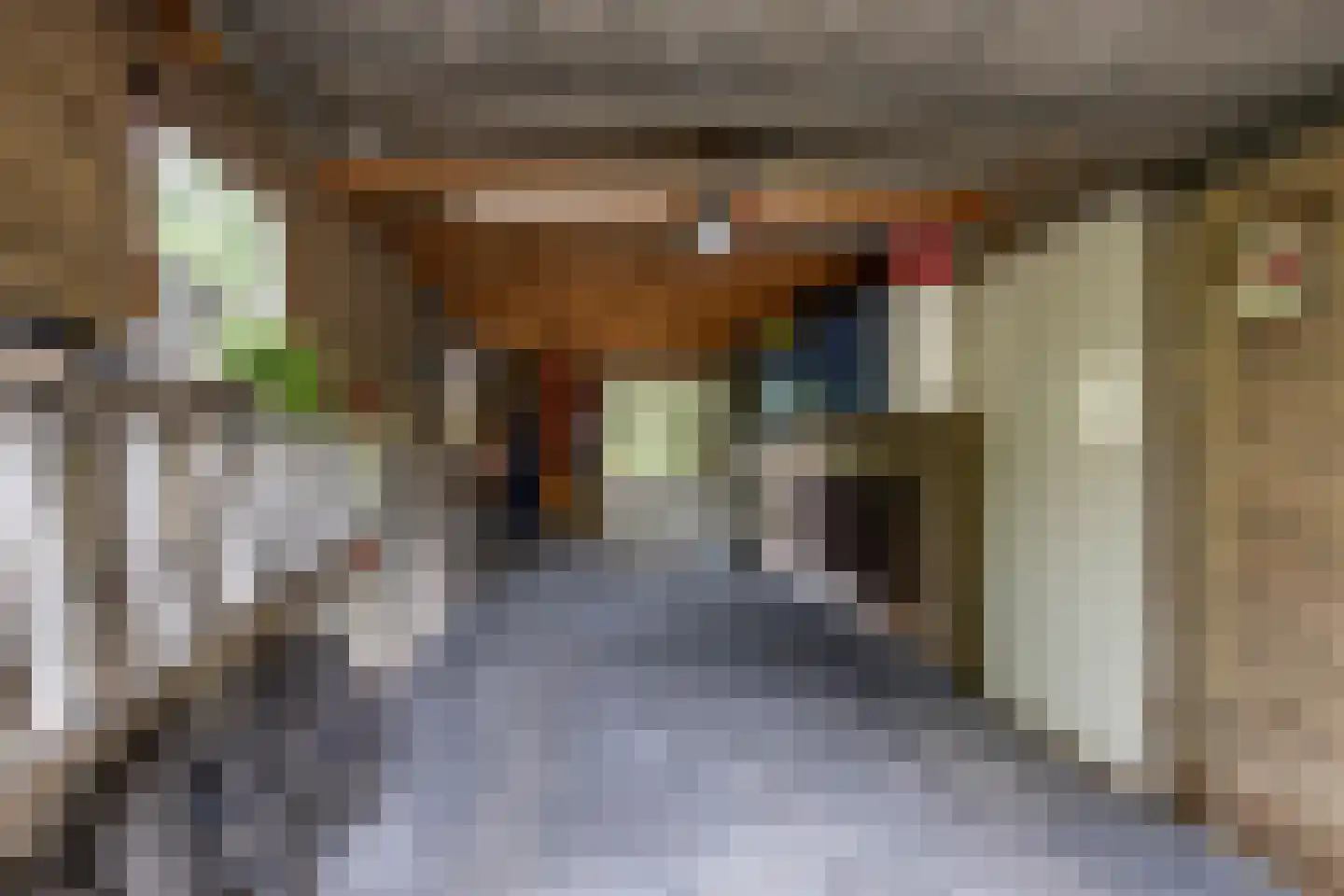Leeuwerikstraat 1 Vries thumbnail 12