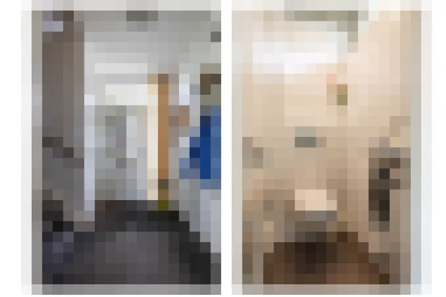 Leeuwerikstraat 1 Vries thumbnail 16