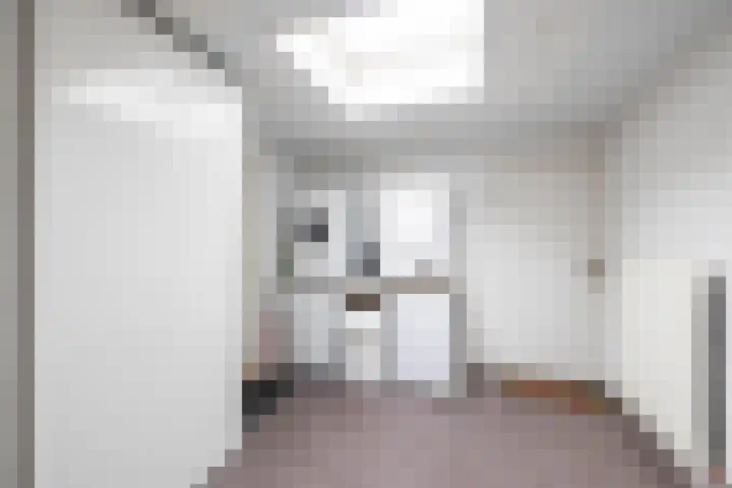 Leeuwerikstraat 1 Vries thumbnail 18