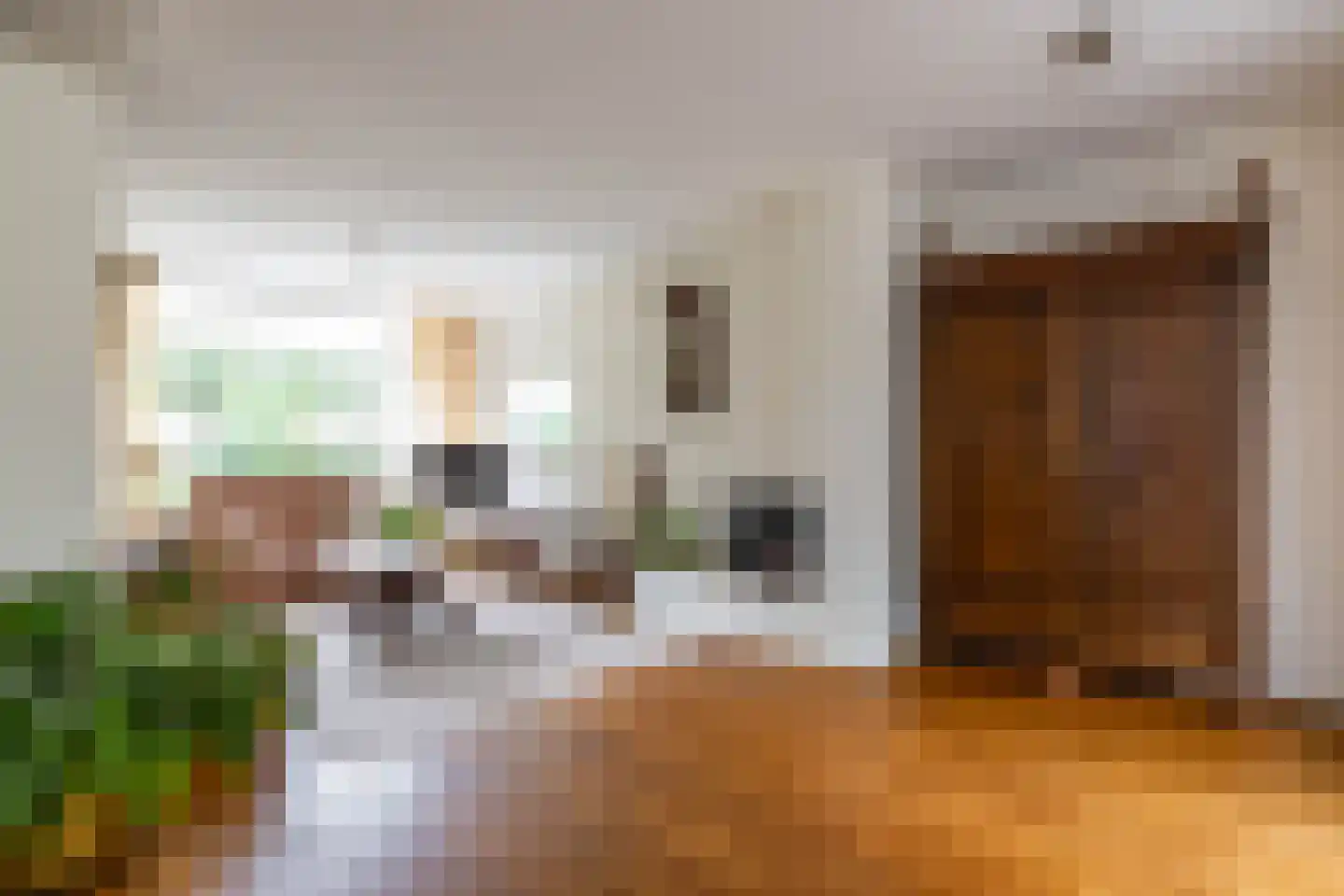 Leeuwerikstraat 1 Vries thumbnail 20