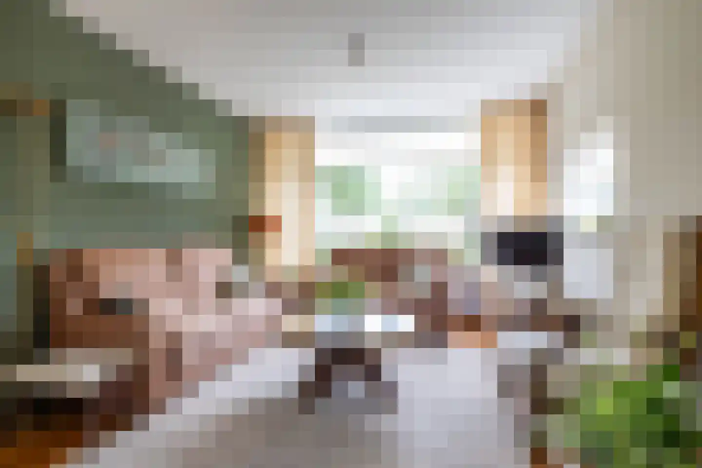 Leeuwerikstraat 1 Vries thumbnail 23
