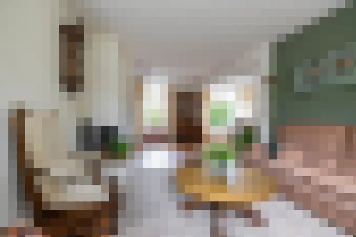 Leeuwerikstraat 1 Vries thumbnail 24