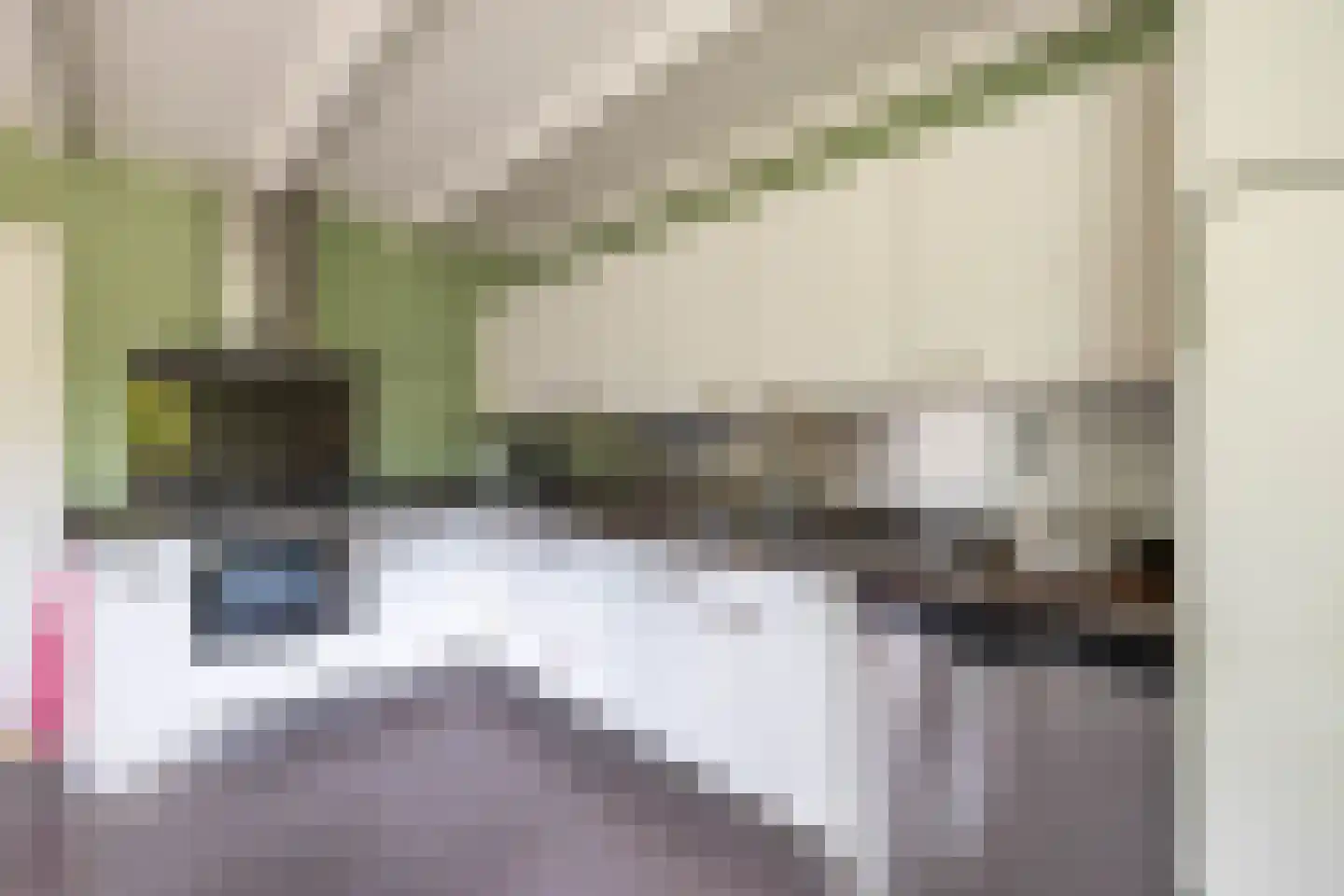 Leeuwerikstraat 1 Vries thumbnail 32