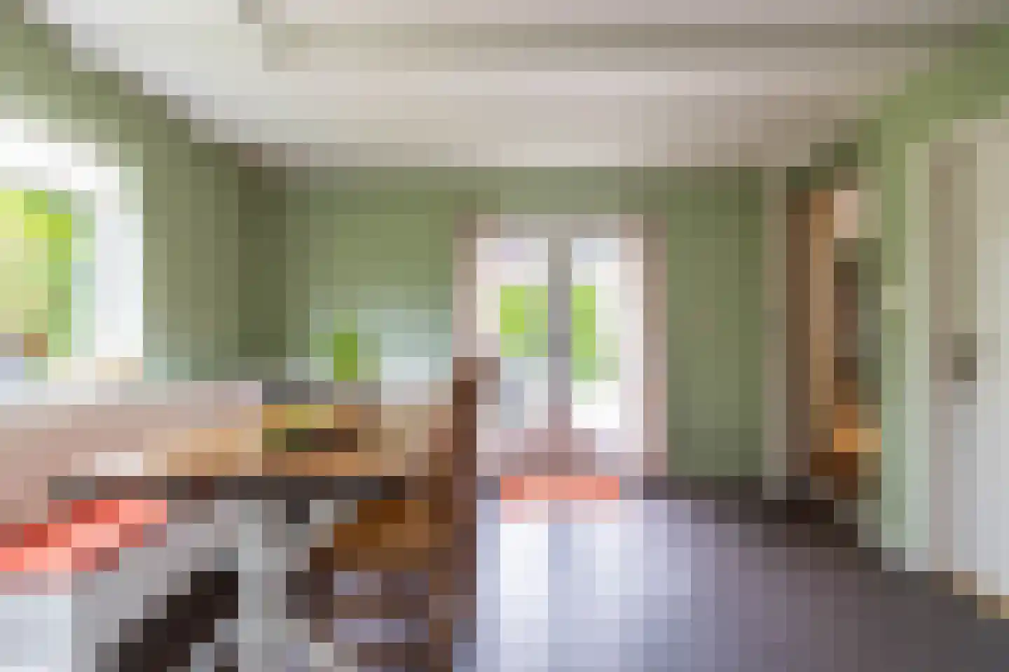 Leeuwerikstraat 1 Vries thumbnail 33