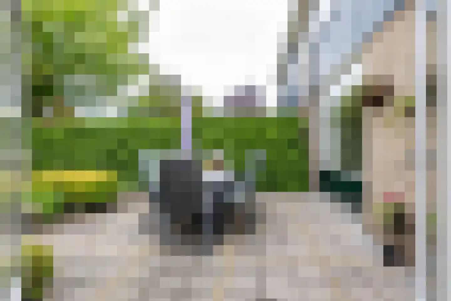 Leeuwerikstraat 1 Vries thumbnail 34
