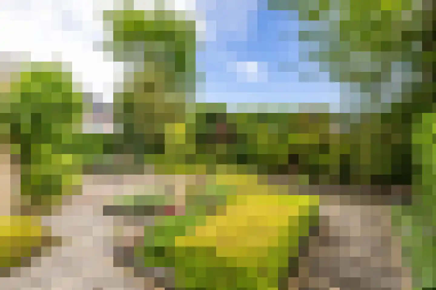 Leeuwerikstraat 1 Vries thumbnail 36