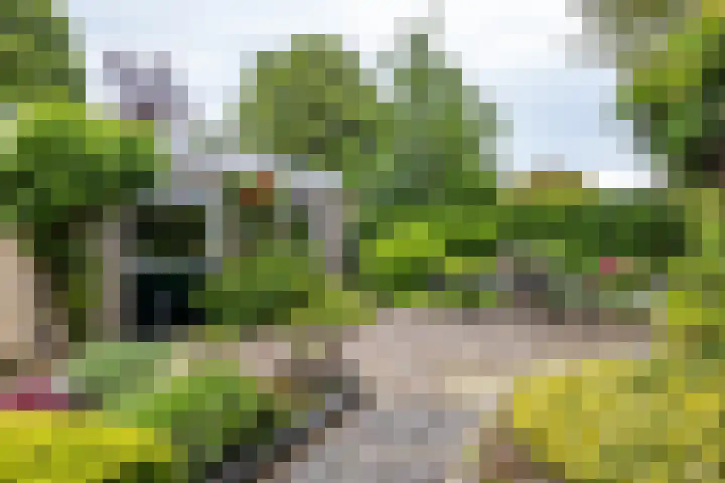 Leeuwerikstraat 1 Vries thumbnail 37