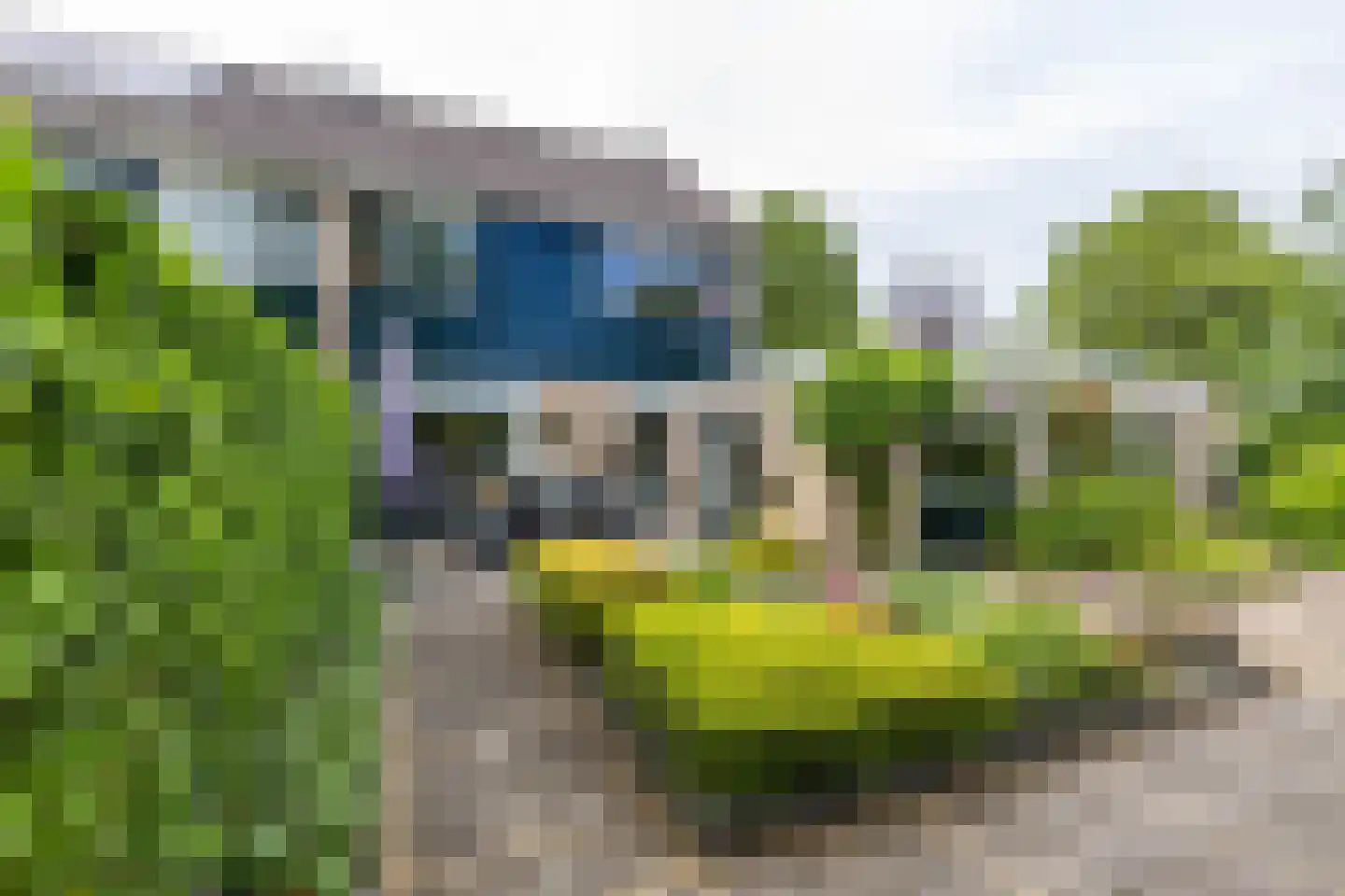 Leeuwerikstraat 1 Vries thumbnail 38