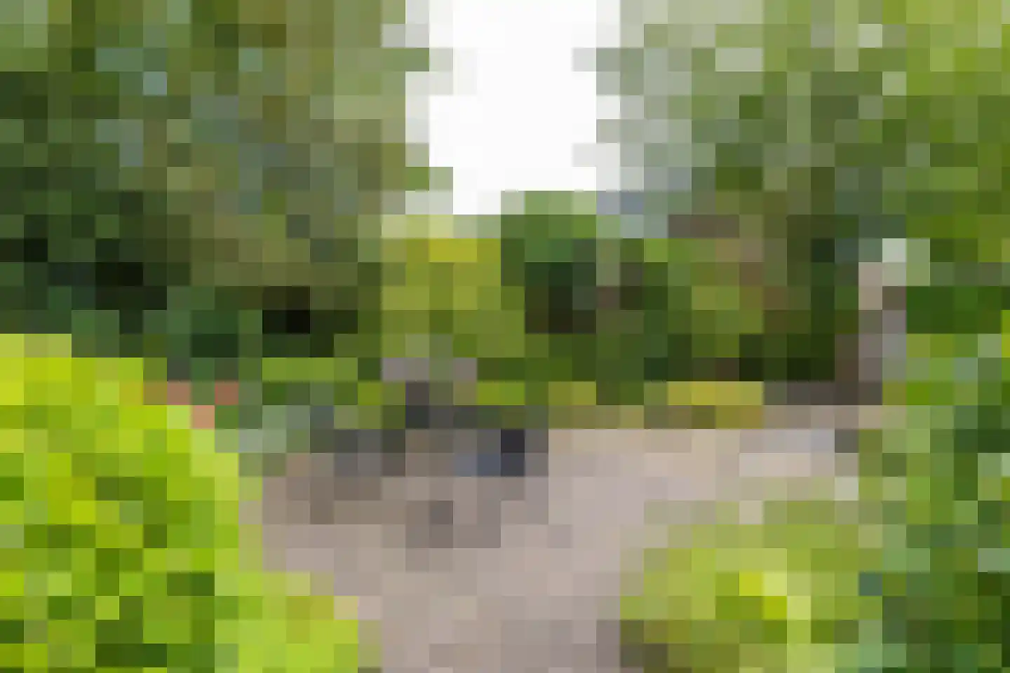 Leeuwerikstraat 1 Vries thumbnail 41