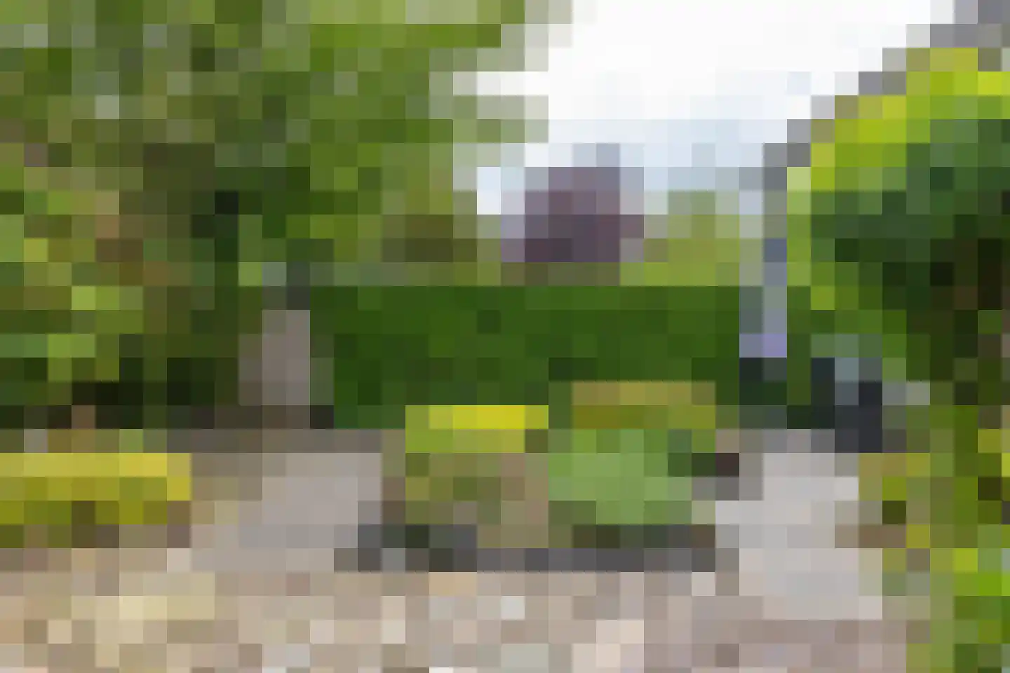 Leeuwerikstraat 1 Vries thumbnail 43