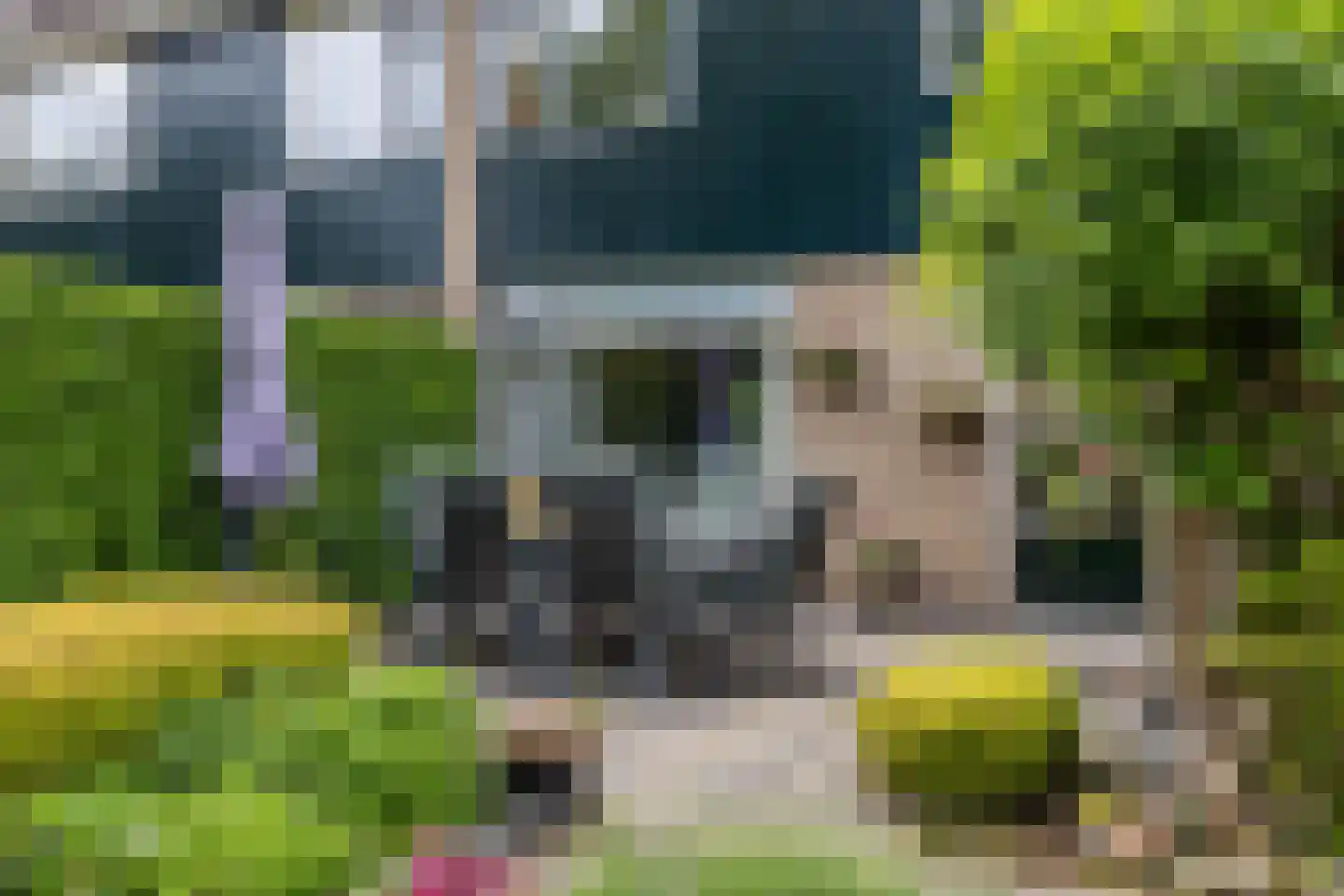 Leeuwerikstraat 1 Vries thumbnail 44