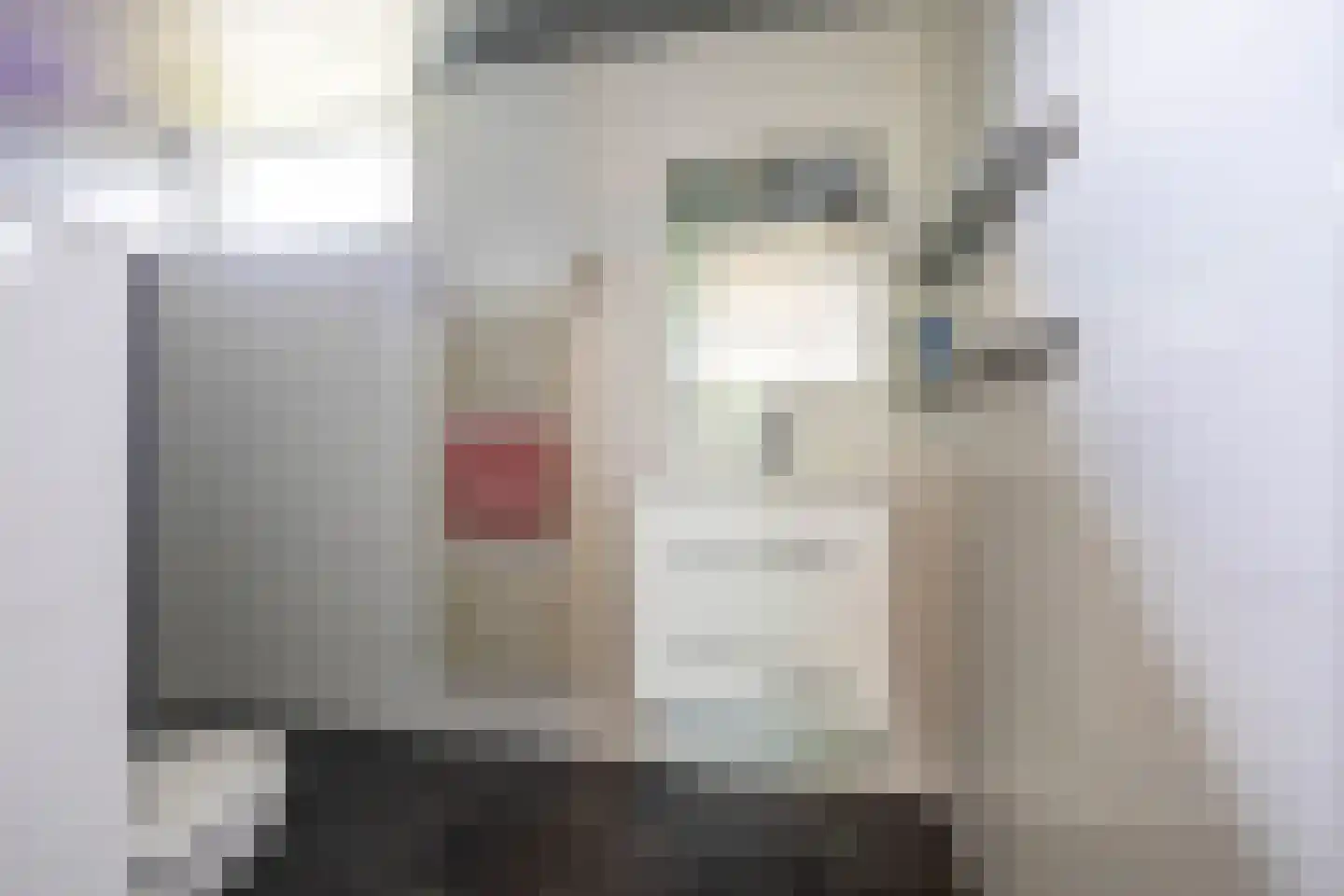 Leeuwerikstraat 1 Vries thumbnail 51