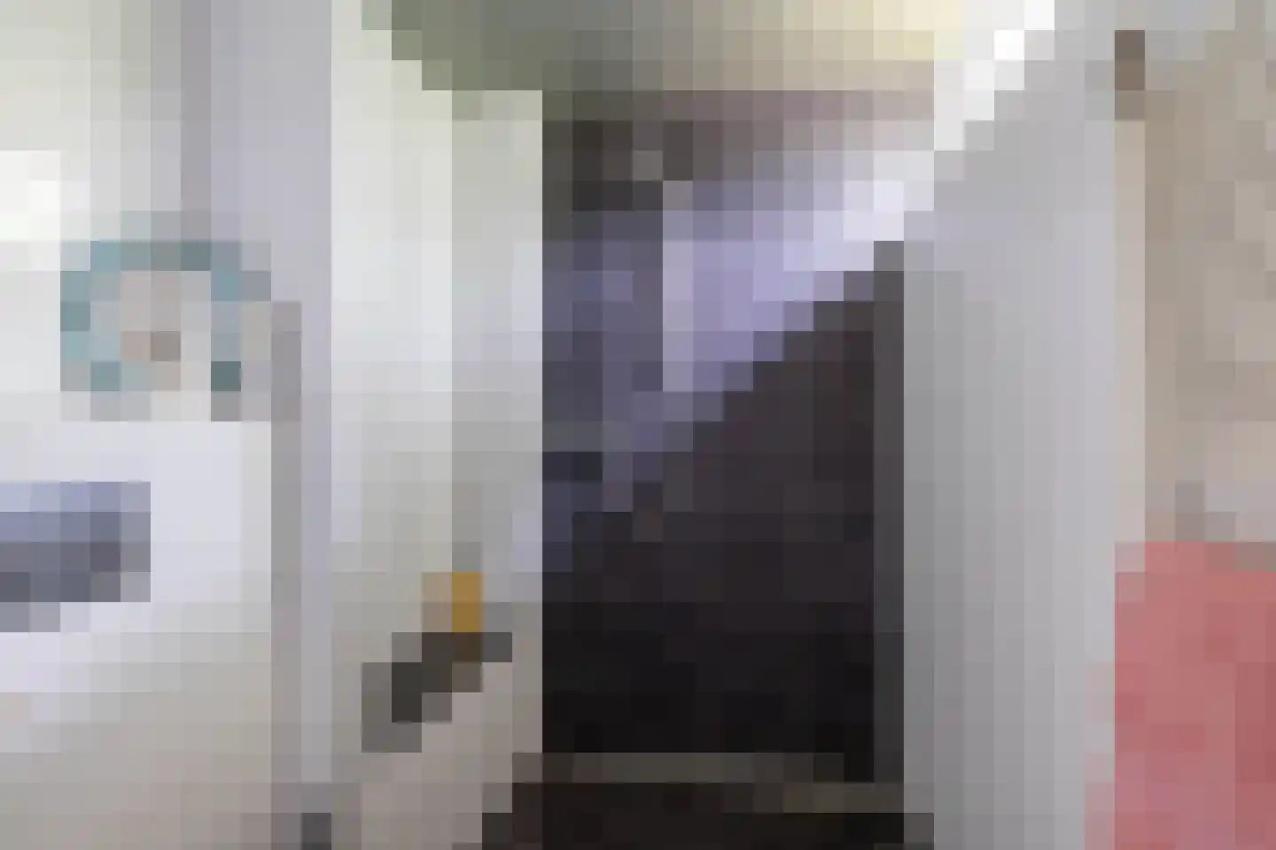 Leeuwerikstraat 1 Vries thumbnail 52