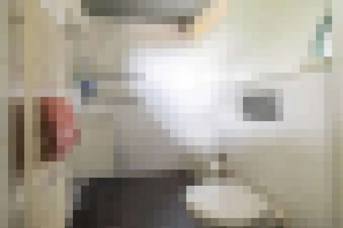 Leeuwerikstraat 1 Vries thumbnail 53