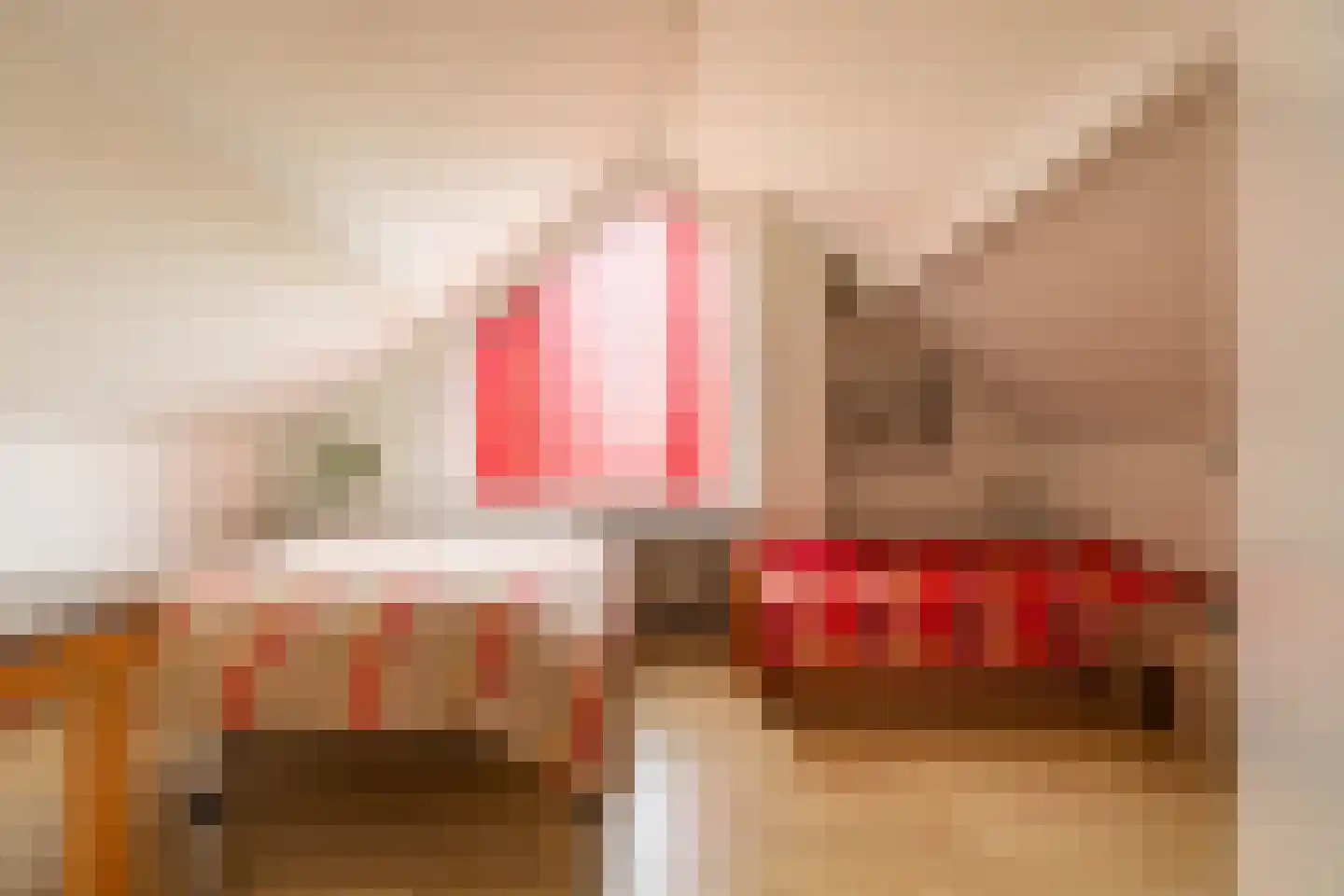 Leeuwerikstraat 1 Vries thumbnail 56