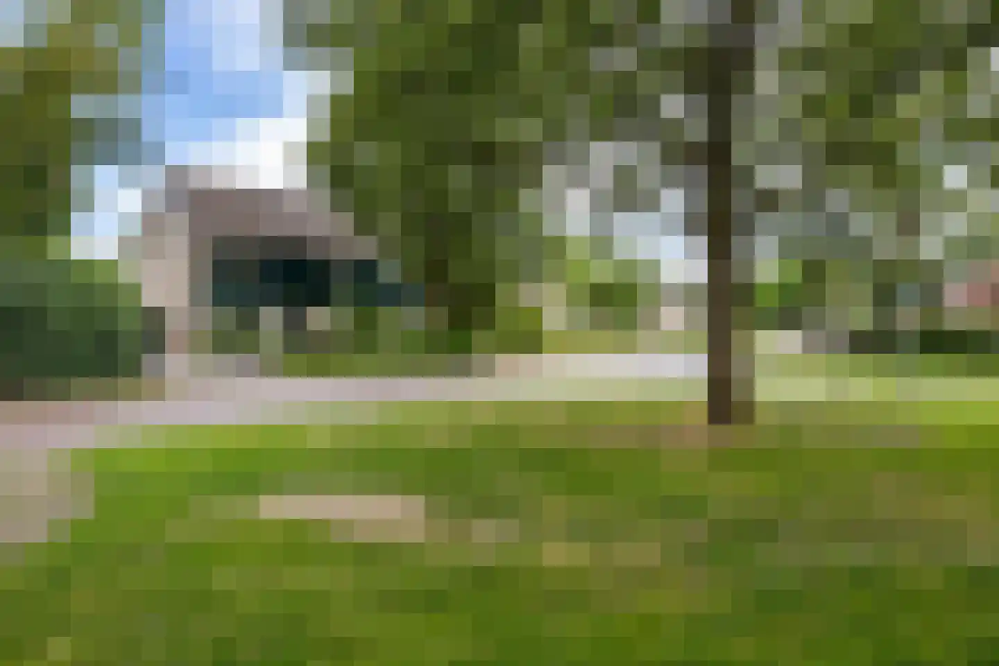 Leeuwerikstraat 1 Vries thumbnail 6