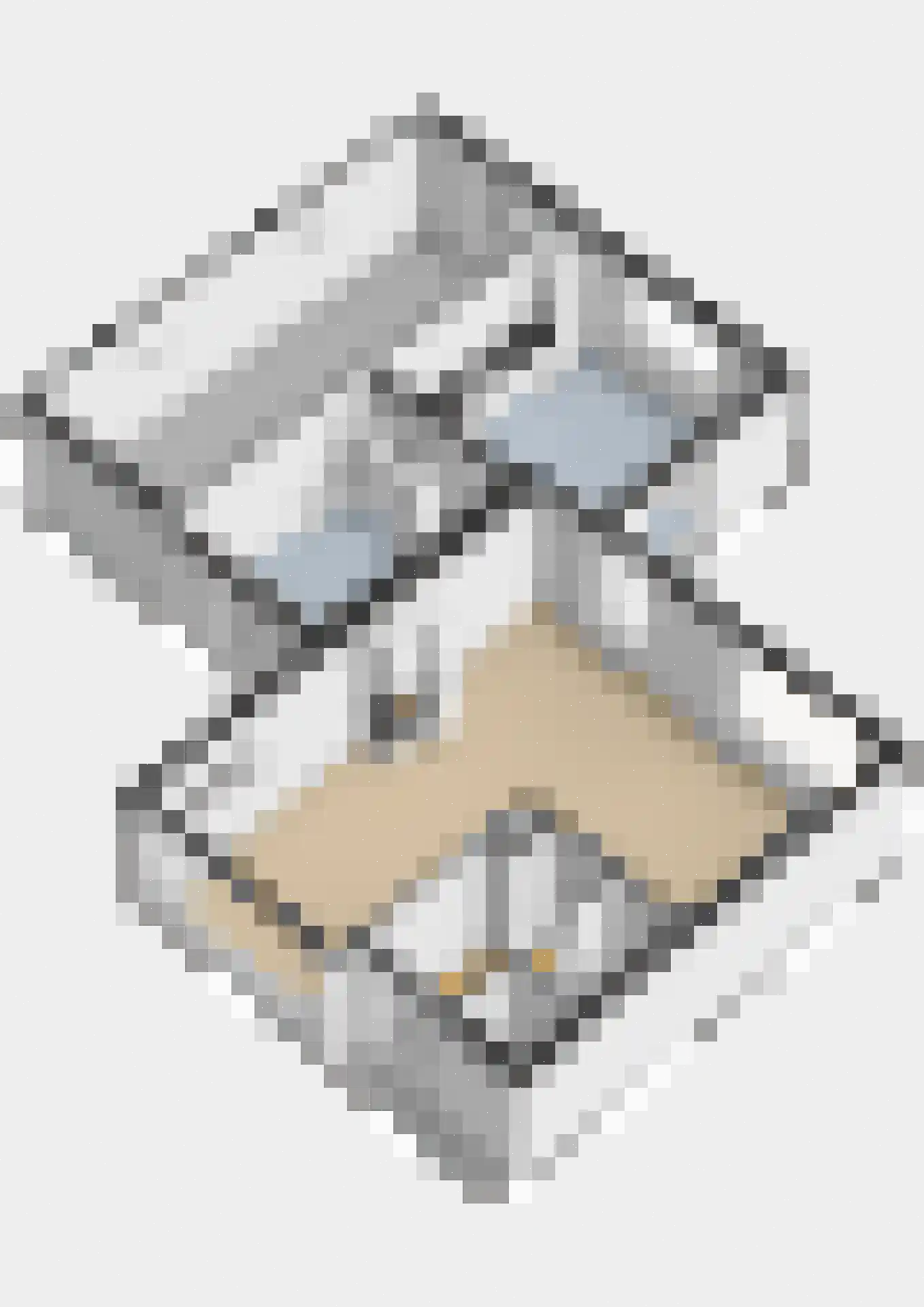 Leeuwerikstraat 1 Vries thumbnail 60