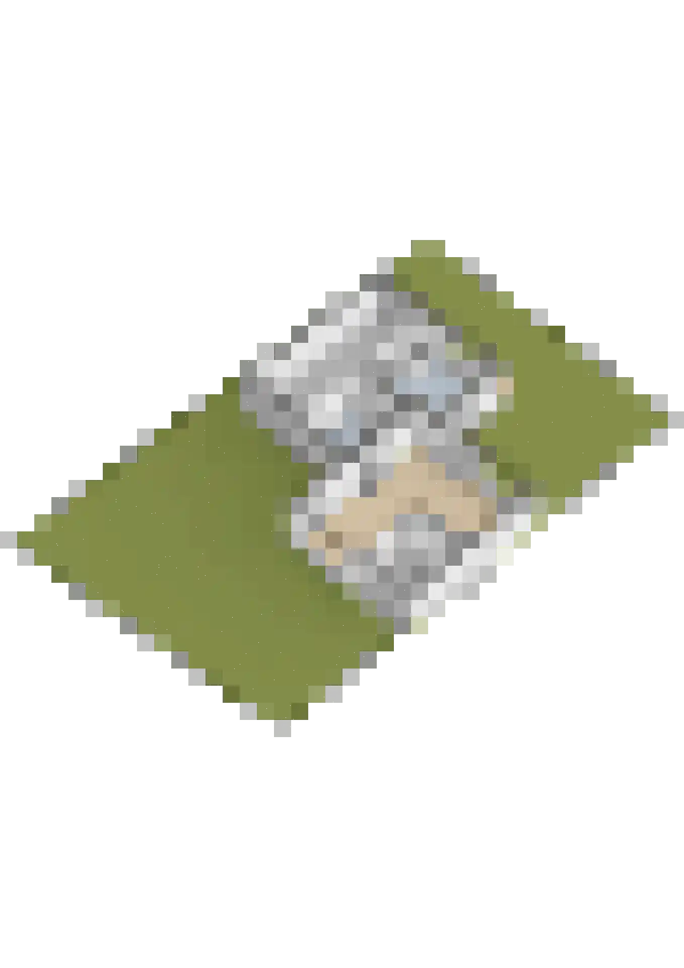 Leeuwerikstraat 1 Vries thumbnail 66
