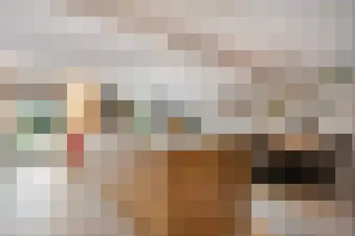 Leeuwerikstraat 10 Nijeveen thumbnail 11