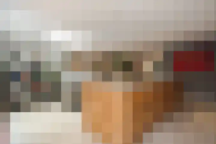 Leeuwerikstraat 10 Nijeveen thumbnail 12